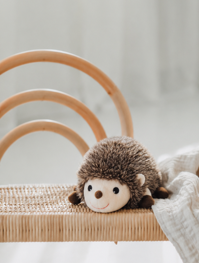 Igel-midi